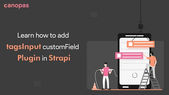 The simple guidance: How to add tagsInput customField plugin in Strapi
