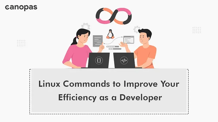14 Must-Know Linux Commands to Improve Your Efficiency as a Developer